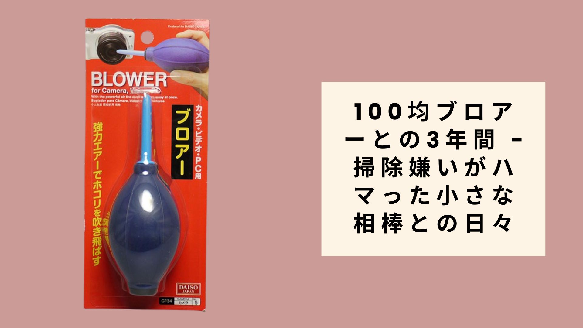 100均ブロアーとの3年間 - 掃除嫌いがハマった小さな相棒との日々