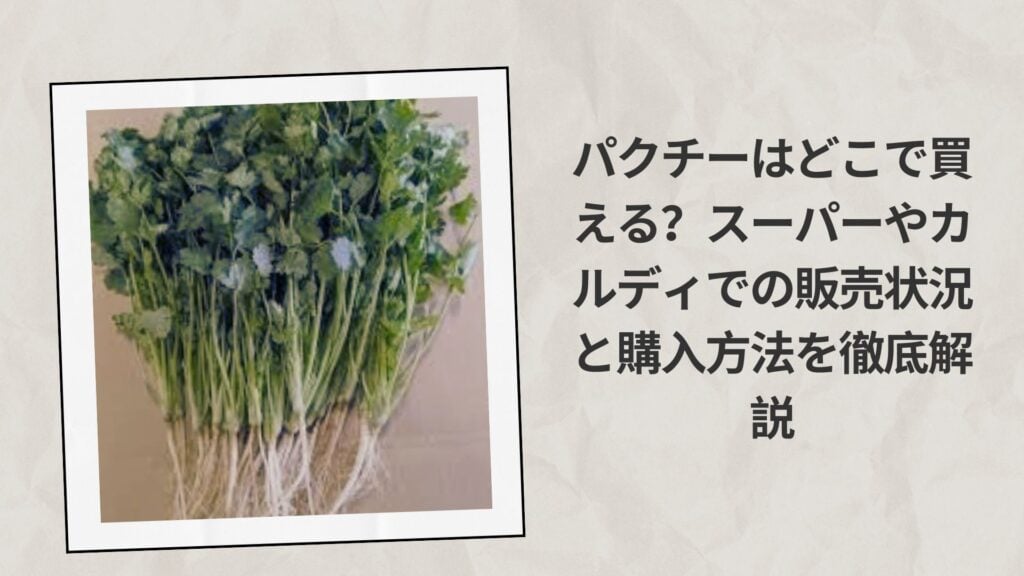パクチーはどこで買える